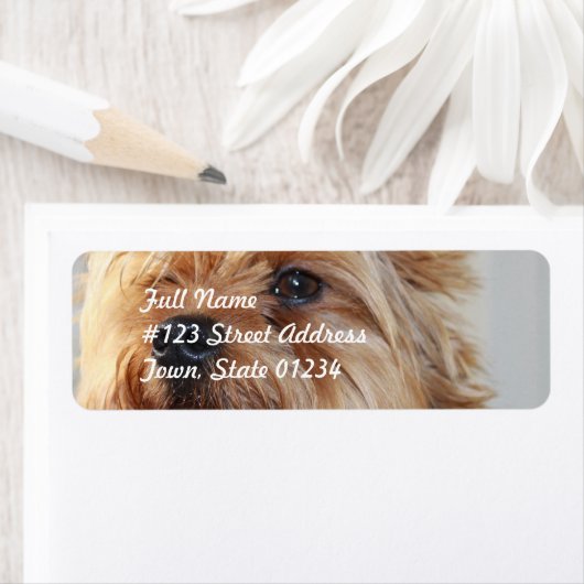 E-Mail-Label-Vorlage 2 - Benutzerdefiniert (Insitu)