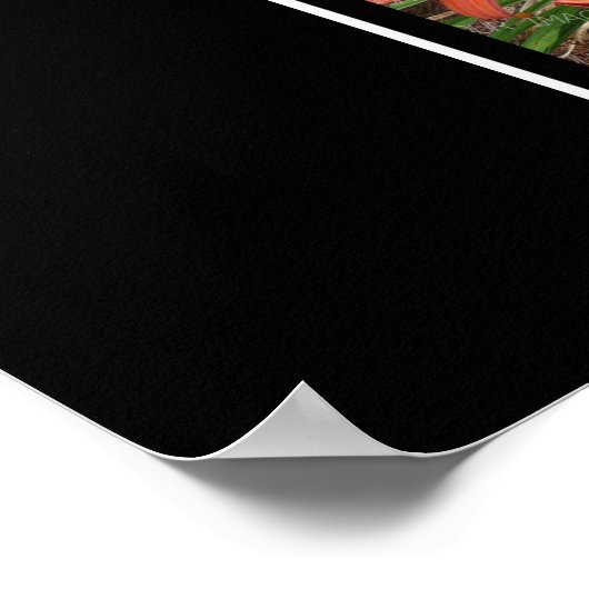 E Monogramm Erstellen Sie Ihre eigene 8-Collage Sc Poster (Ecke)