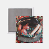 E-Nummern (Zusatzstoffe) Freier Kühlschrankmagnet (Vorderseite/Rückseite)