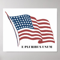E Pluribus Unum Patriotic U.S. Flag