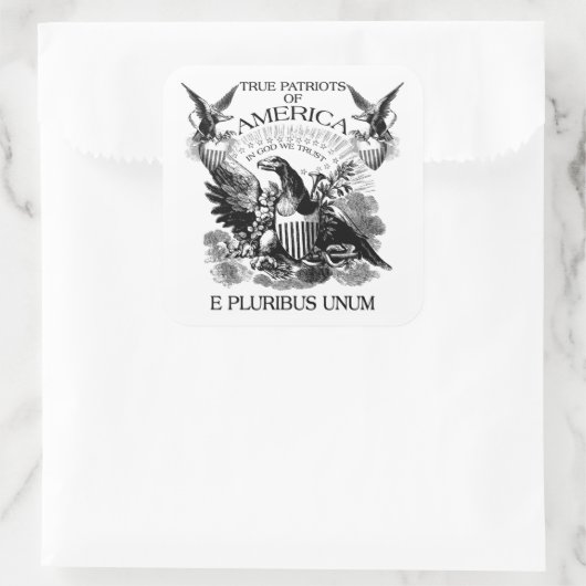 E Pluribus Unum Quadratischer Aufkleber (Tasche)