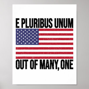 E Pluribus Unum USA-Flagge Für Frauen Männer  Poster