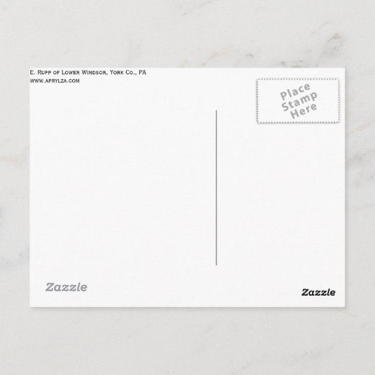 E Rupp of Lower Windsor Township, York Landkreis, Postkarte (Rückseite)