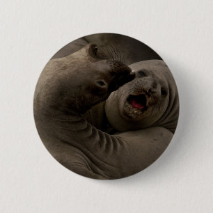 E-Siegel Kurven-Knopf Button