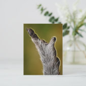 E.T. POSTKARTE (Stehend Vorderseite)