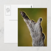 E.T. POSTKARTE (Vorne/Hinten)