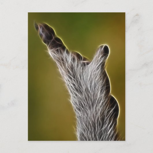 E.T. POSTKARTE (Vorderseite)