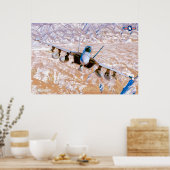 EA-18G GROWLER POSTER (Küche)