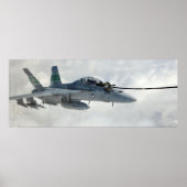 EA-18G Growler Poster (Vorne)