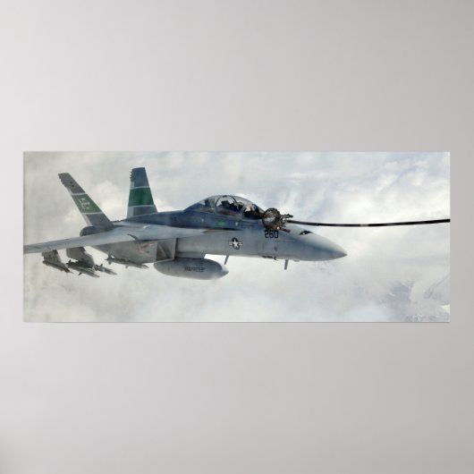 EA-18G Growler Poster (Vorne)