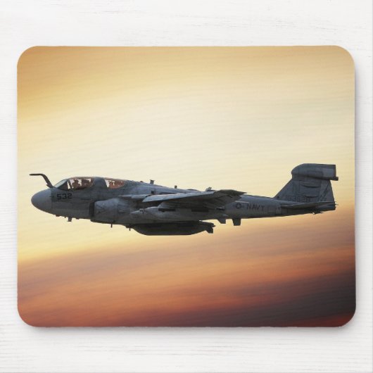 EA-6B Prowler Mousepad (Vorne)