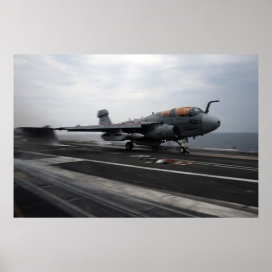 EA-6B Prowler Poster (Vorne)