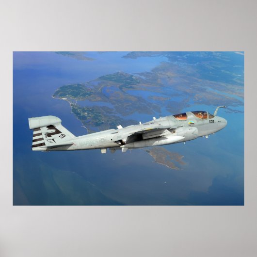 EA-6B Prowler Poster (Vorne)