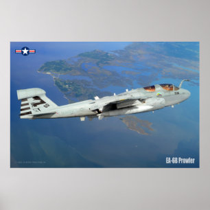 EA-6B PROWLER POSTER