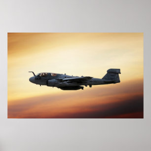EA-6B Prowler Poster