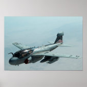 EA-6B Prowler Poster (Vorne)