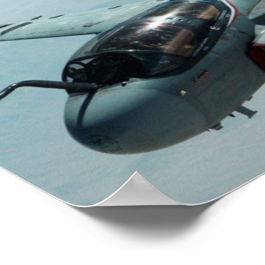 EA-6B Prowler Poster (Ecke)