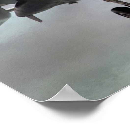 EA-6B Prowler Poster (Ecke)