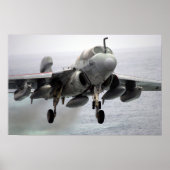 EA-6B Prowler Poster (Vorne)