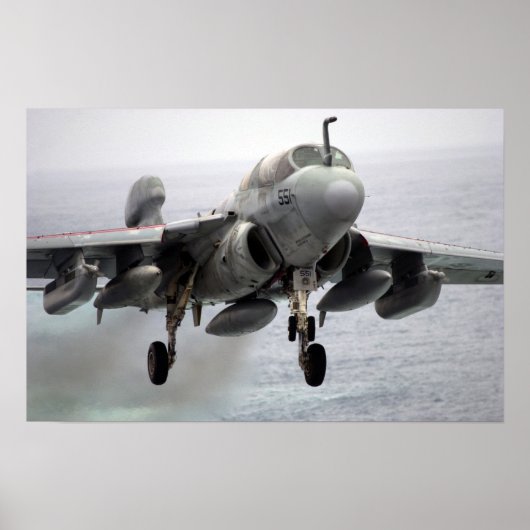 EA-6B Prowler Poster (Vorne)
