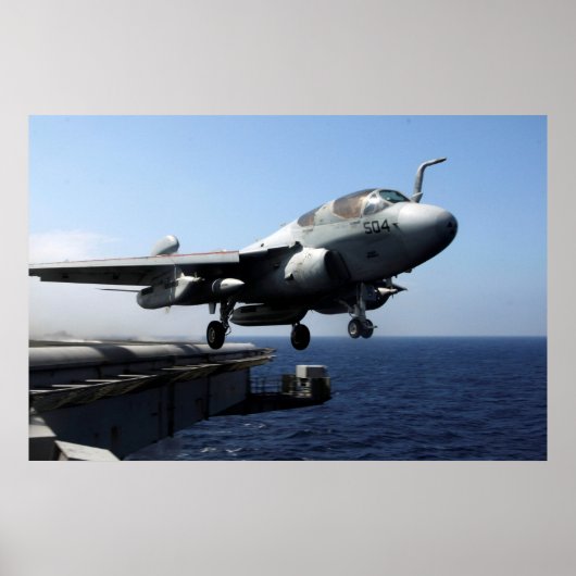 EA-6B Prowler Poster (Vorne)