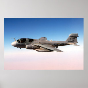 EA-6B Prowler Poster