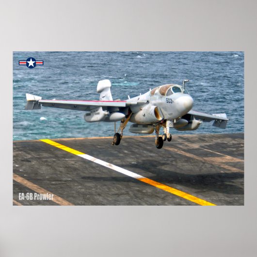 EA-6B PROWLER POSTER (Vorne)