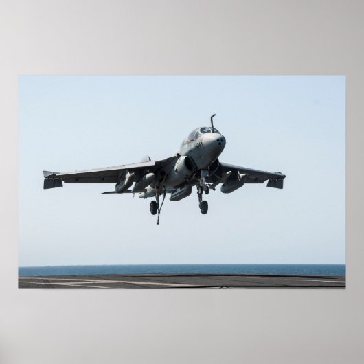 EA-6B Prowler Poster (Vorne)