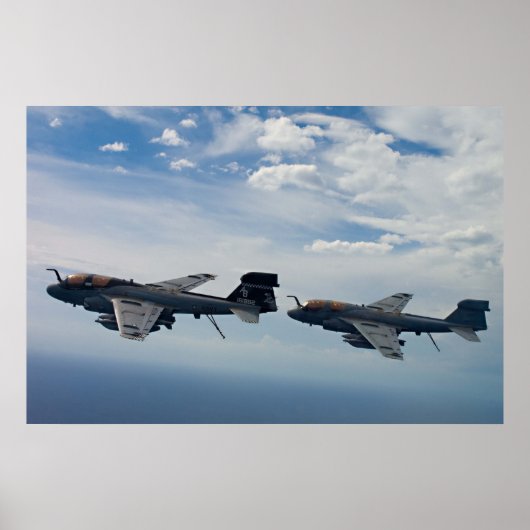 EA-6B Prowler Poster (Vorne)