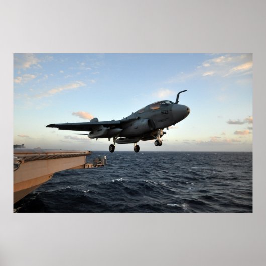 EA-6B Prowler Poster (Vorne)