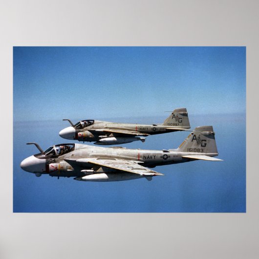 EA-6B Prowlers Poster (Vorne)