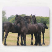 Eachother heraus überprüfen mousepad (Vorne)