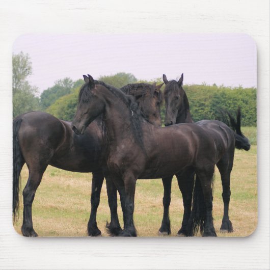 Eachother heraus überprüfen mousepad (Vorne)