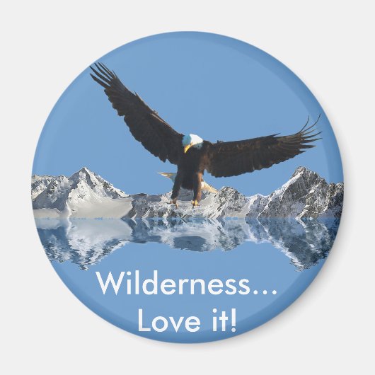 EAGFL-FLUGEINGANG MAGNET (Vorne)