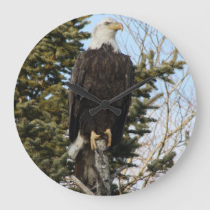 Eagle 3 große wanduhr