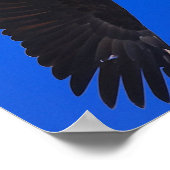 Eagle against a blue sky poster (Ecke)