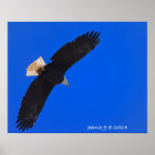 Eagle against a blue sky poster (Vorne)