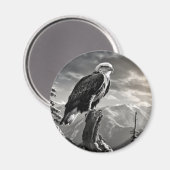 Eagle Animal Bird Wild Nature Ink Sketch Style Magnet (Vorderseite/Rückseite)