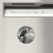 Eagle Animal Bird Wild Nature Ink Sketch Style Magnet (In Situ (Geschirrspüler))