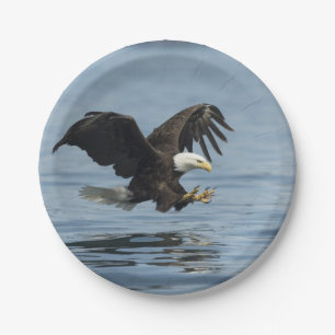 Eagle auf Annäherung Pappteller