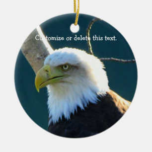 Eagle-Augen; Kundengerecht Keramikornament