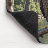 Eagle Bald am Zweig des Baumflusses Mousepad (Ecke)