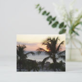 Eagle Beach Aruba Sunset Postcard Postkarte (Stehend Vorderseite)