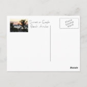 Eagle Beach Aruba Sunset Postcard Postkarte (Rückseite)