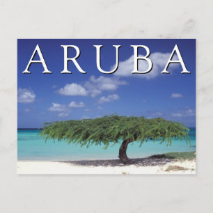 Eagle Beach   Karibik, Aruba Postkarte