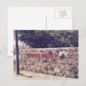 Eagle Beach - Postcard Postkarte (Vorne/Hinten)