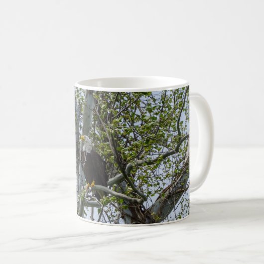 Eagle beobachtet die Tasse des Kaffees (VorderseiteRechts)