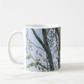Eagle beobachtet die Tasse des Kaffees (Links)