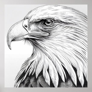 Eagle Bird Wild Nature Animal Illustration Art Poster