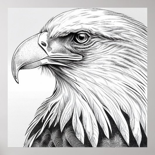 Eagle Bird Wild Nature Animal Illustration Art Poster (Vorne)